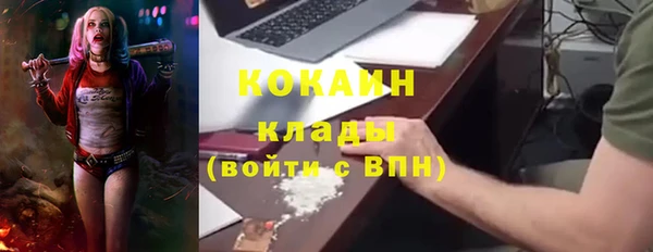 крисы Алексин