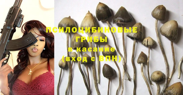 тгк Алзамай